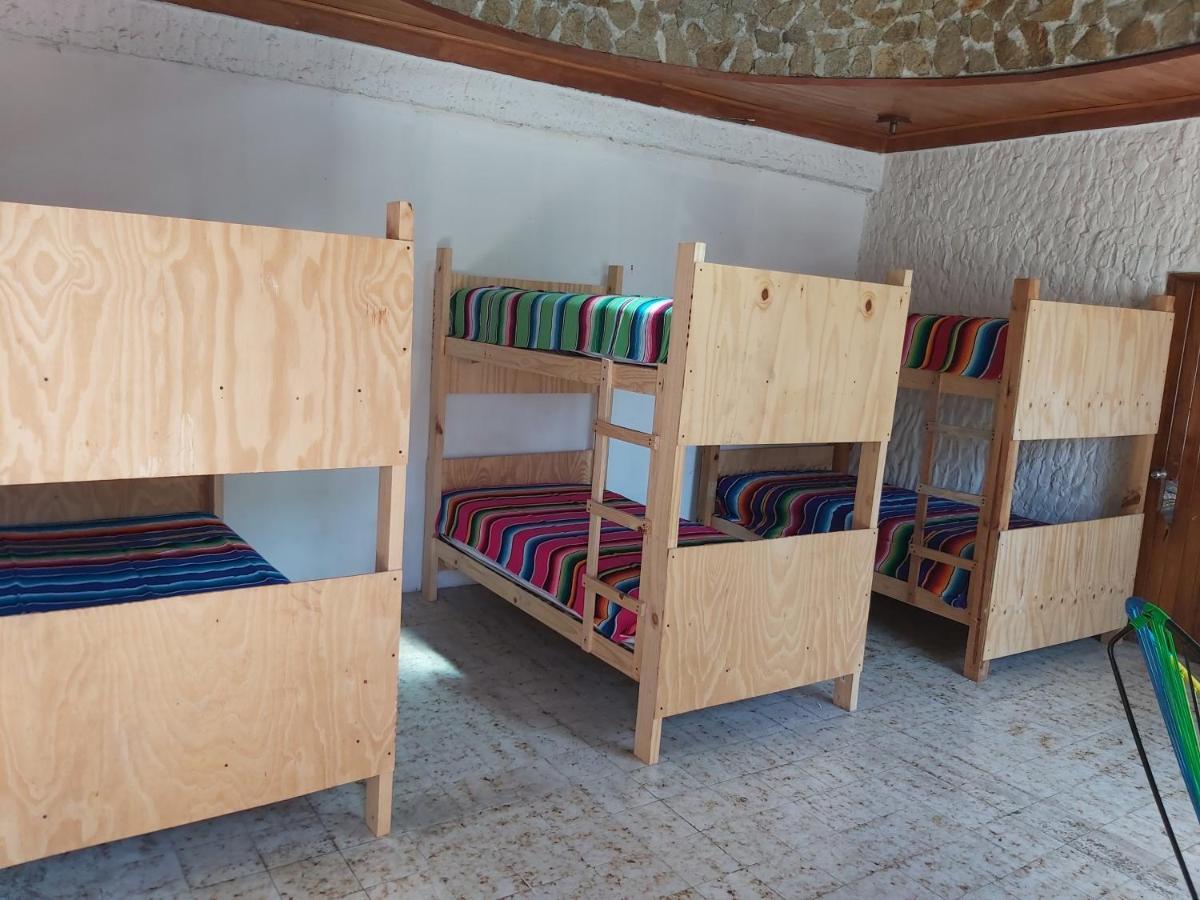 6-Bed Mixed Dormitory Room